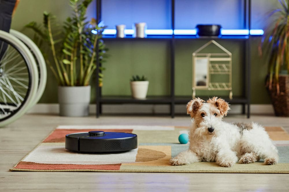 Pet dander becomes air borne - Air Duct Cleaning